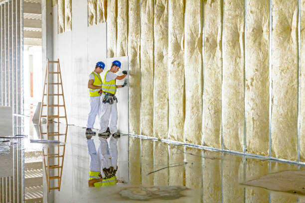 Foam Insulation Services